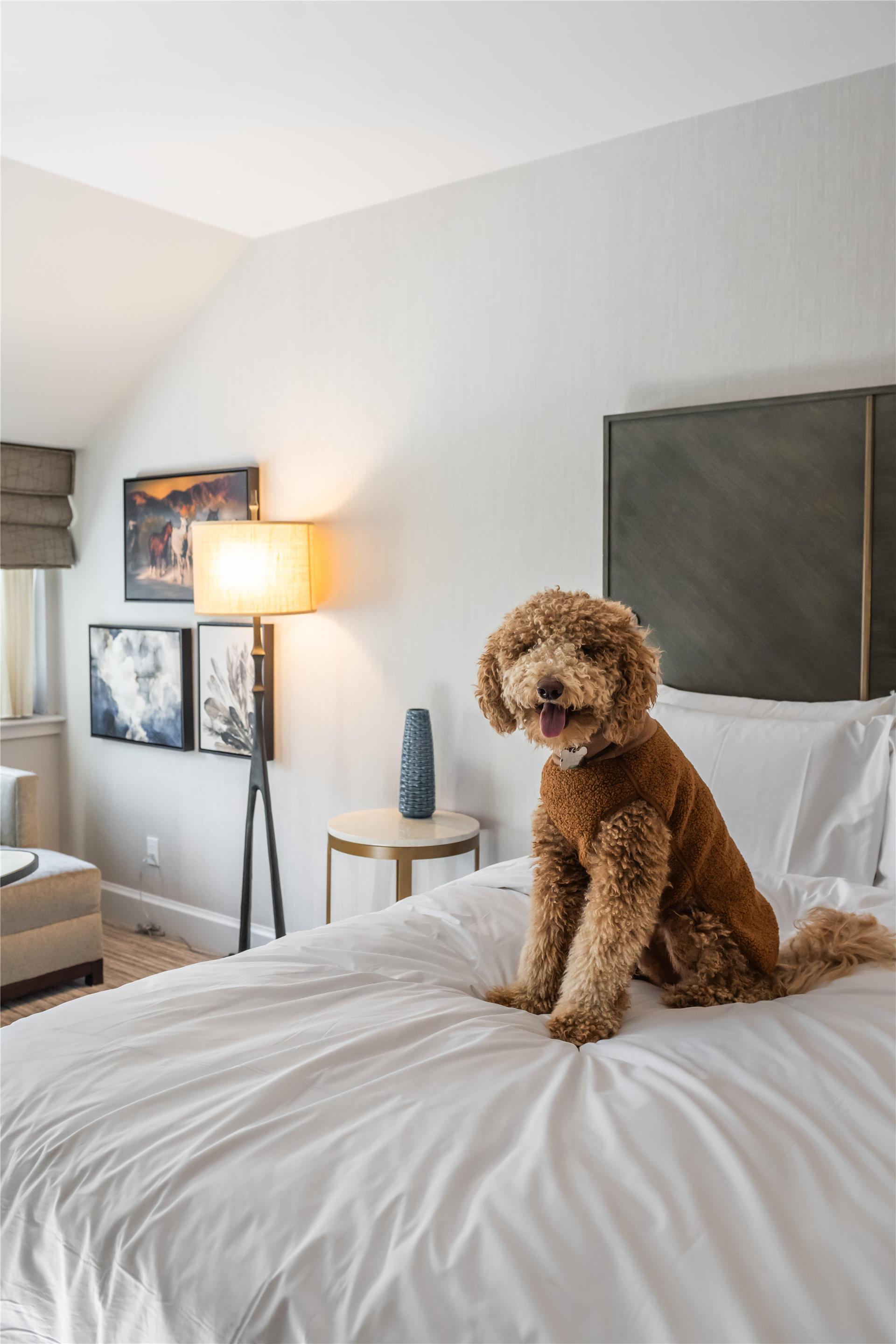Undefined/Not Set | Grand Hyatt Vail Resort and Spa