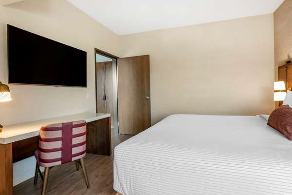 Suite - Cambria Hotel Downtown Napa Valley