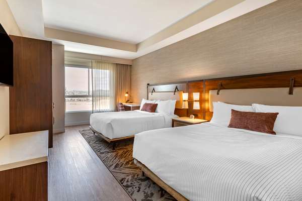  - Cambria Hotel Downtown Napa Valley