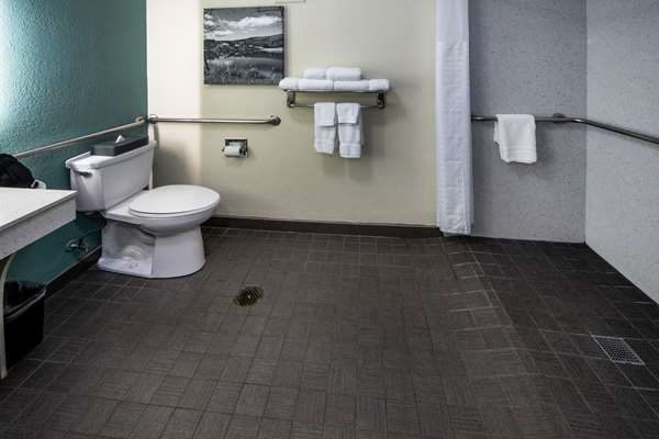  - Best Western Plus Duluth Hotel - I-85, Exit 107