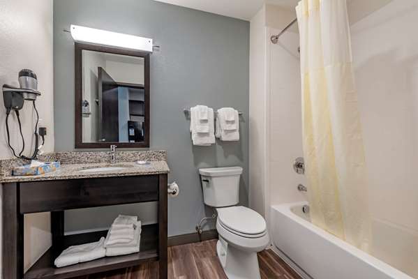 Suite - MainStay Suites Newberry - I-69, Exit 87