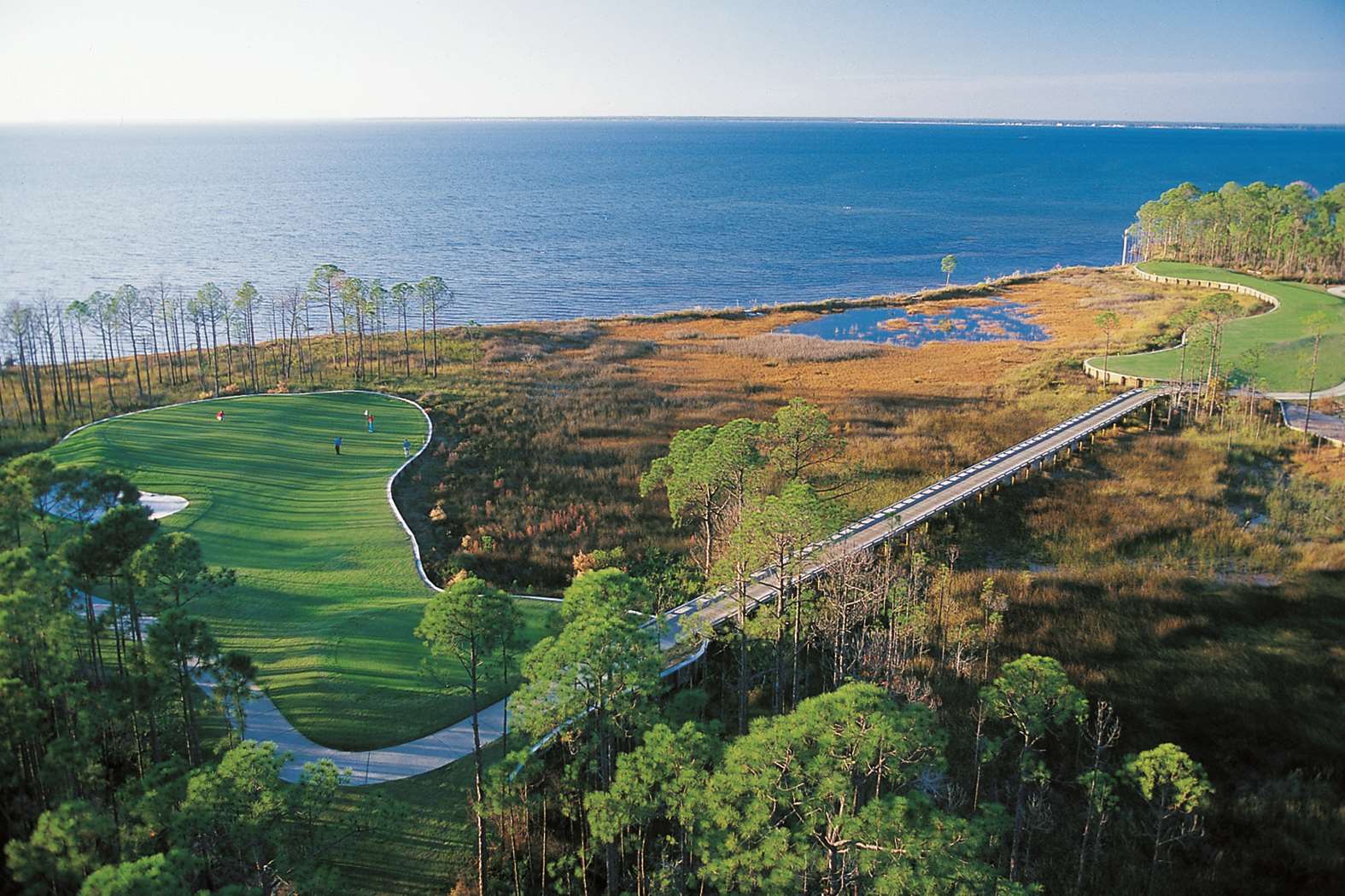 BurntPine | Hotel Effie Sandestin