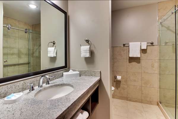  - Drury Plaza Hotel Richardson