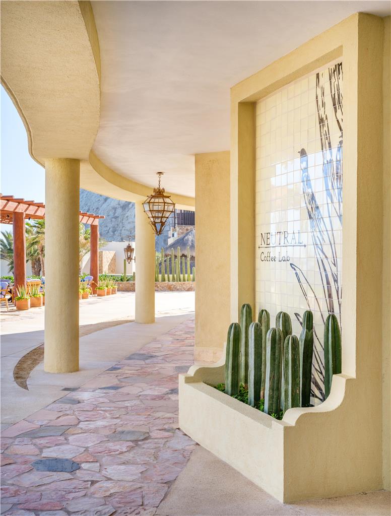 Guest photo