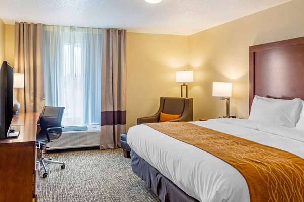 Suite - Comfort Inn Dekalb