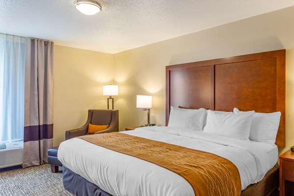 Suite - Comfort Inn Dekalb