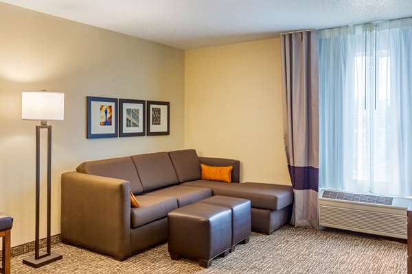 Suite - Comfort Inn Dekalb