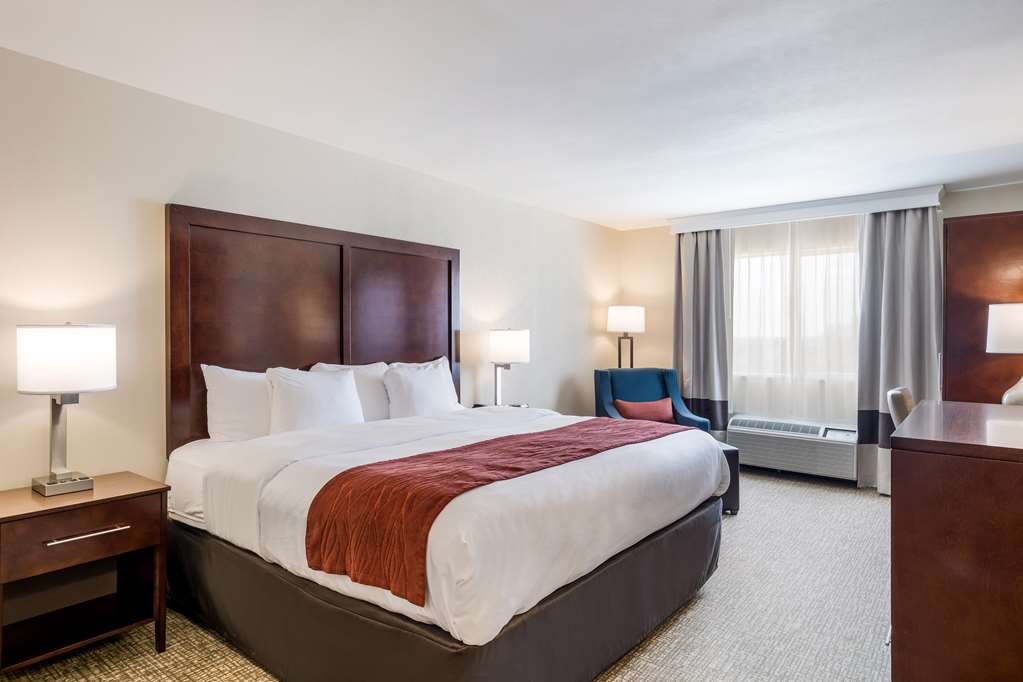 COMFORT INN BONNER SPRINGS KANSAS C-guestroom-Guest Room,On-Site.jpg