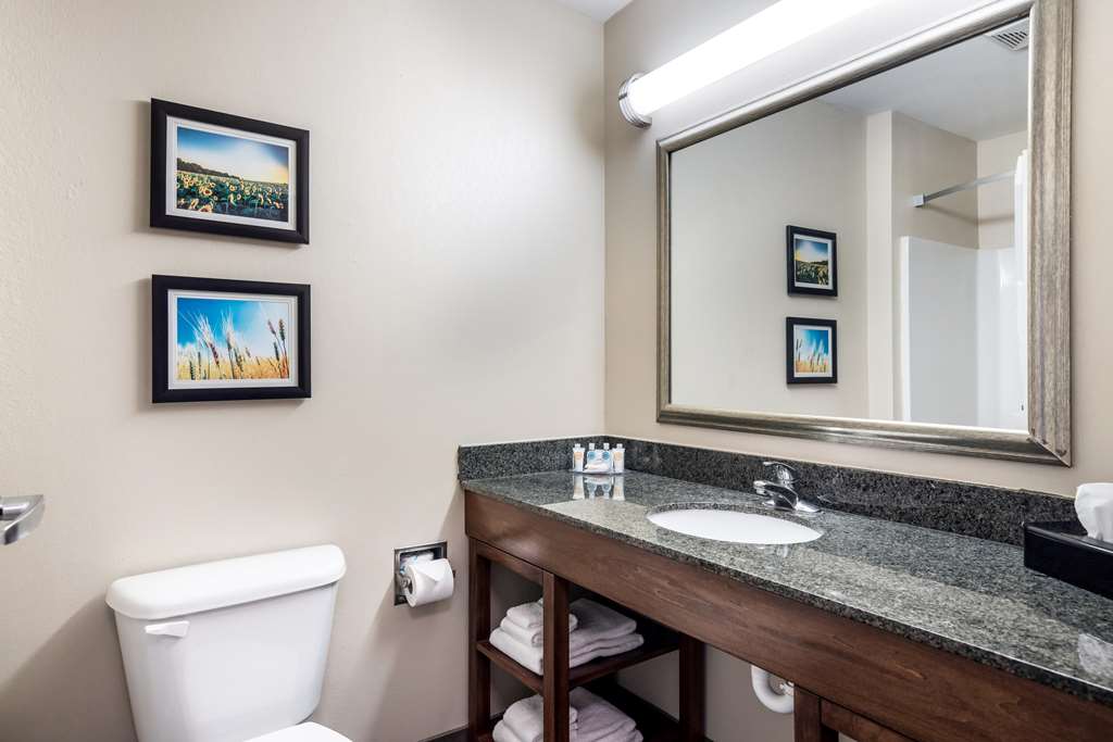 COMFORT INN BONNER SPRINGS KANSAS C-guestroom-Guest Room,Bathroom,On-Site.jpg