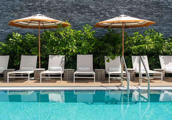 Pool - Canopy by Hilton Hotel Downtown West Palm Beach