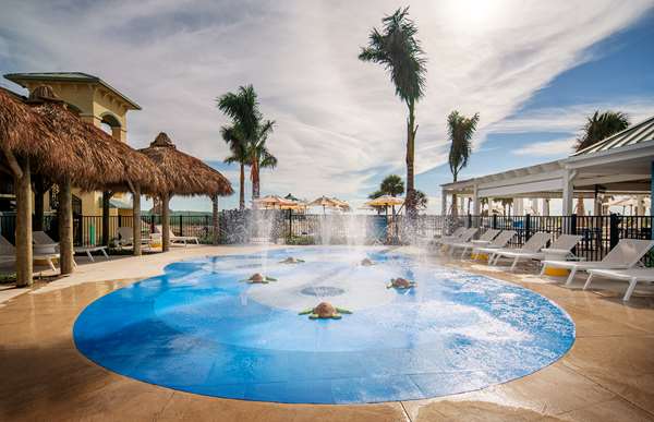 Pool - Sirata Beach Resort St Pete Beach