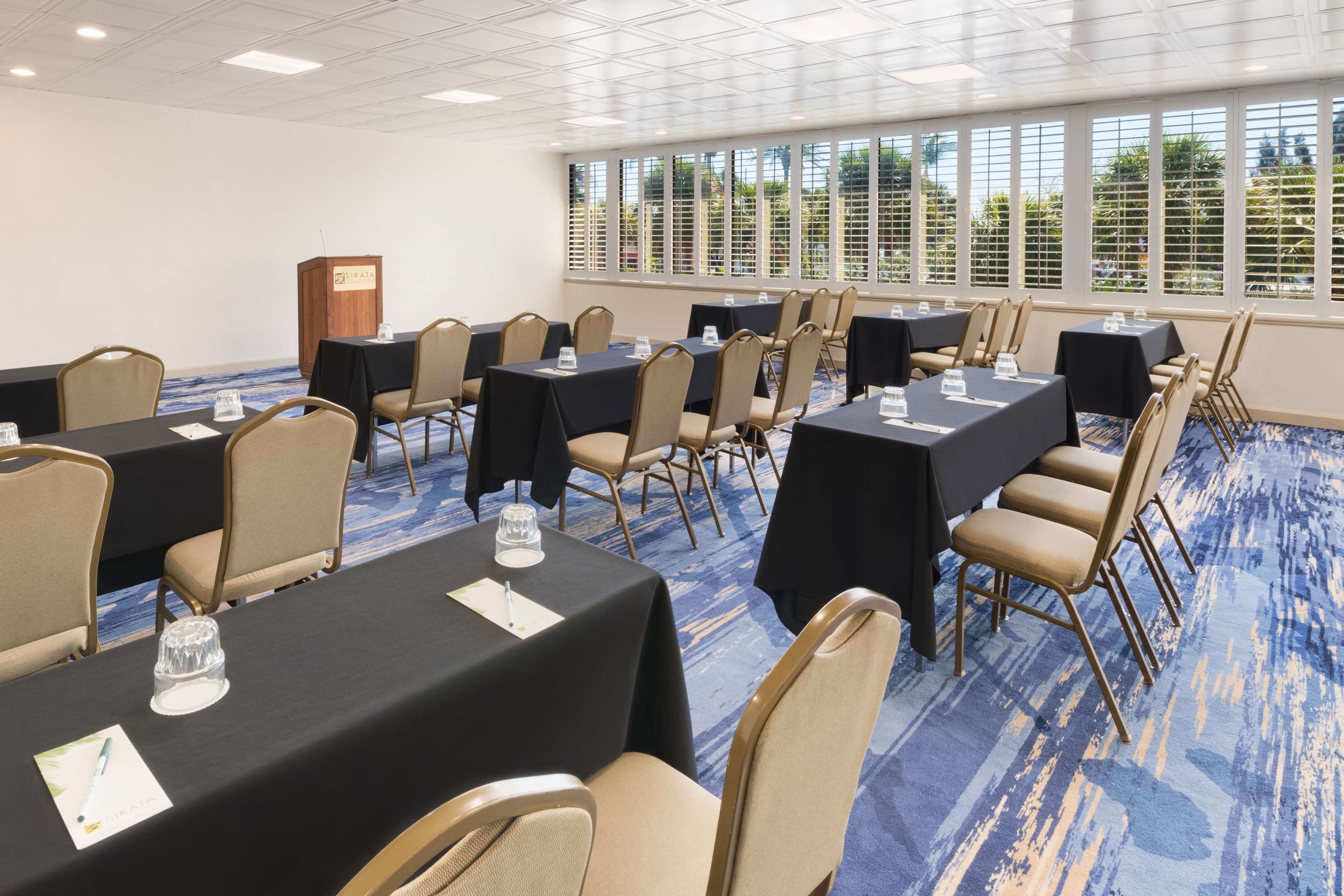 Mediterranean Palm Classroom | Sirata Beach Resort