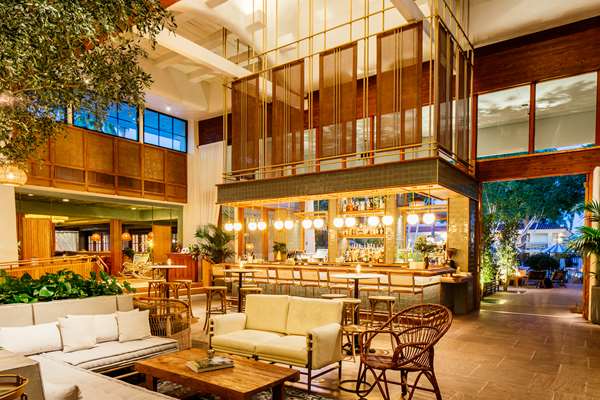 Bar - Scott Resort & Spa Scottsdale