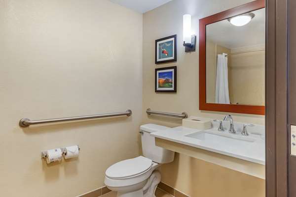  - Comfort Inn & Suites Big Spring - I-20, Exit 177