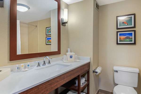  - Comfort Inn & Suites Big Spring - I-20, Exit 177