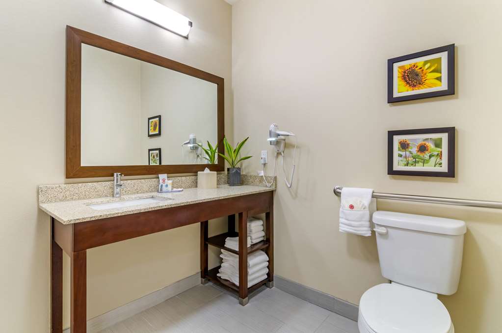 COMFORT INN AND SUITES SALINA NORTH-guestroom-Guest Room,Bathroom,On-Site.jpg