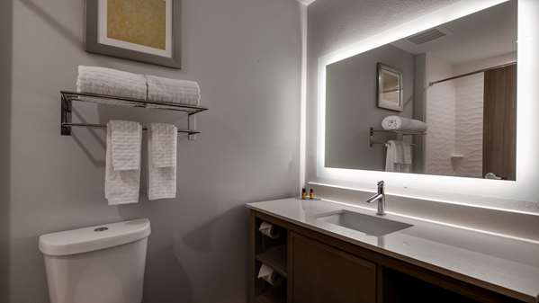  - Best Western Plus Mid County Hotel Port Arthur