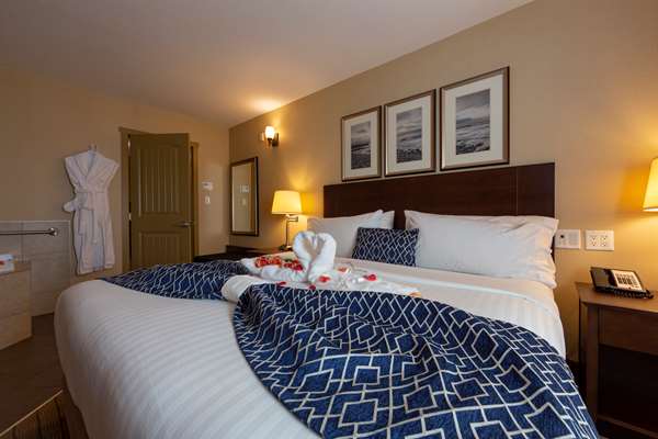  - Bayview Hotel Group Courtenay