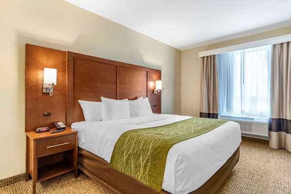 Suite - Comfort Suites San Antonio - I-35 & I-410, Exit 164A