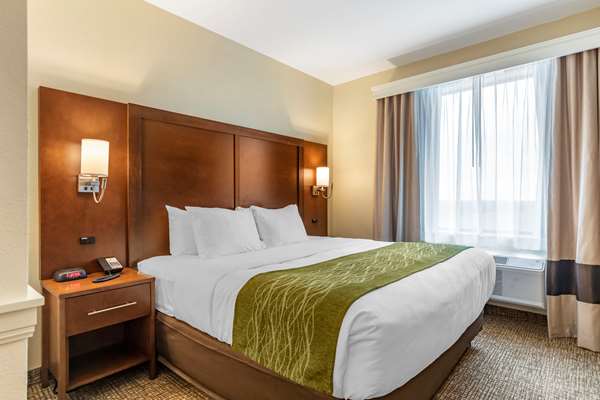Suite - Comfort Suites San Antonio - I-35 & I-410, Exit 164A