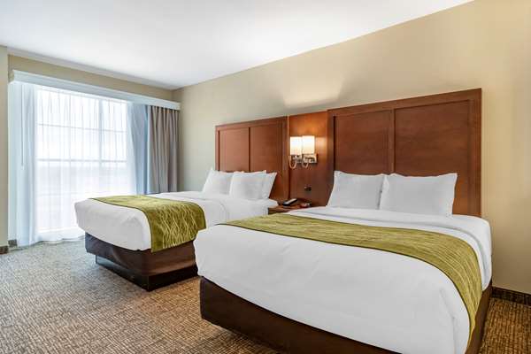 Suite - Comfort Suites San Antonio - I-35 & I-410, Exit 164A