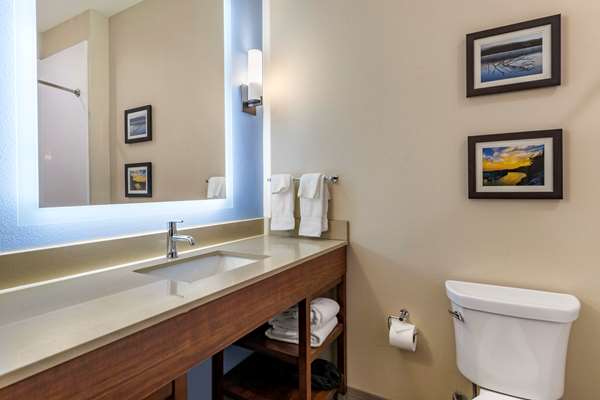 Suite - Comfort Suites Cedar Park