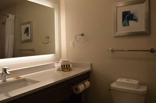  - Best Western Plus Gateway to the Falls Hotel Clearwater