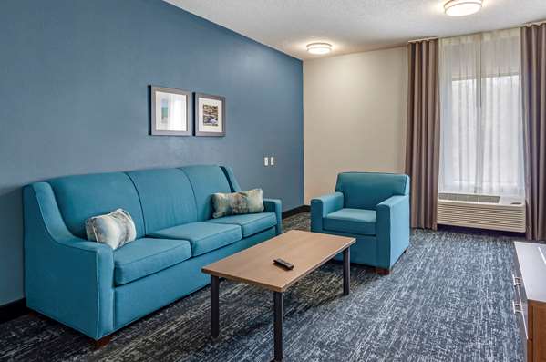 Suite - Comfort Inn & Suites Troutville - I-81, Exit 150A