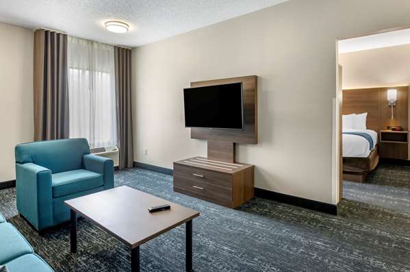 Suite - Comfort Inn & Suites Troutville - I-81, Exit 150A