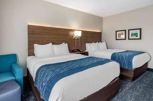 Suite - Comfort Inn & Suites Troutville - I-81, Exit 150A