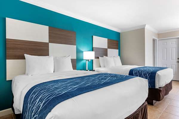 Suite - Comfort Inn Daytona Beach