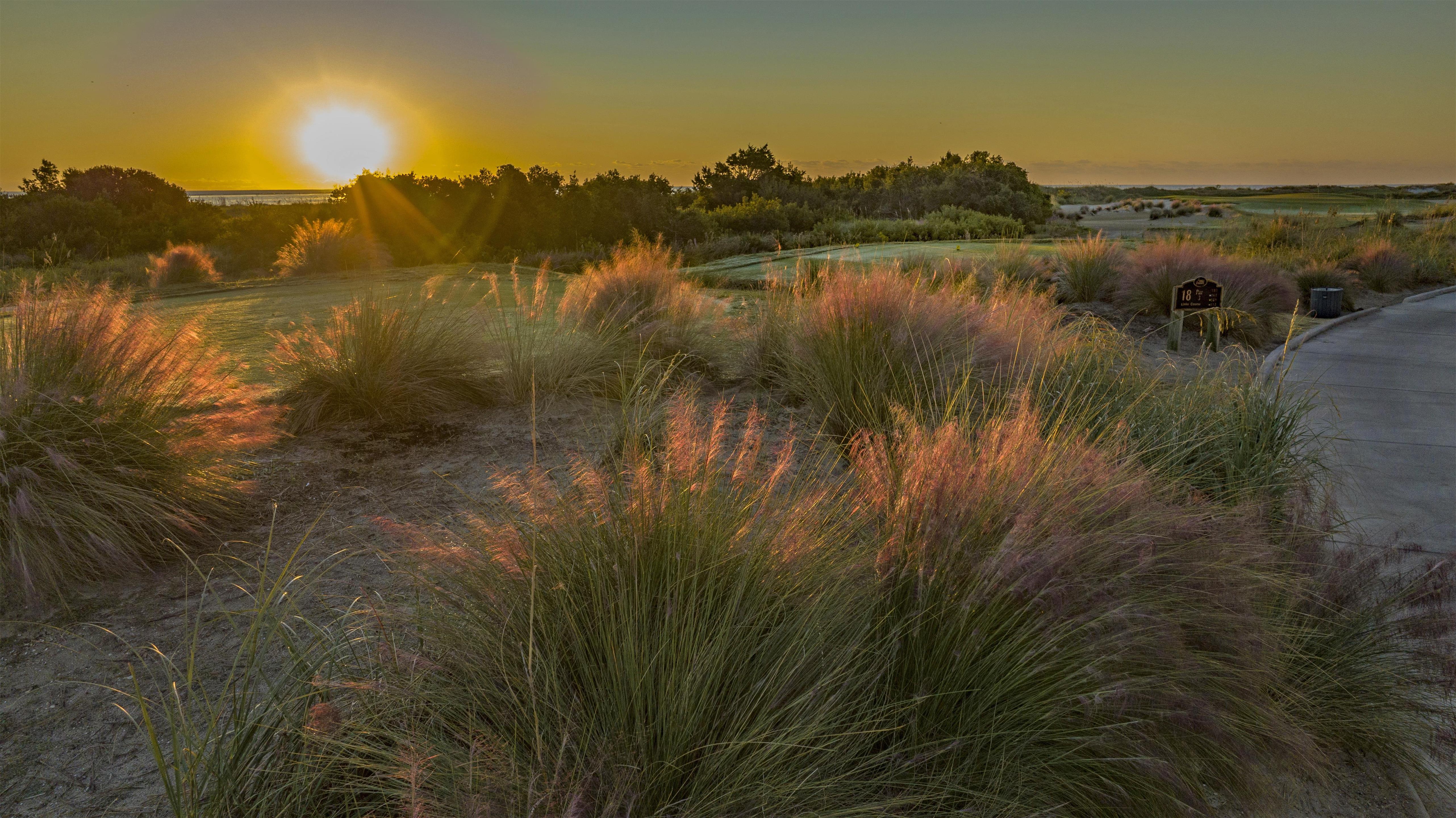 Exterior | Wild Dunes Resort - Vacation Rentals