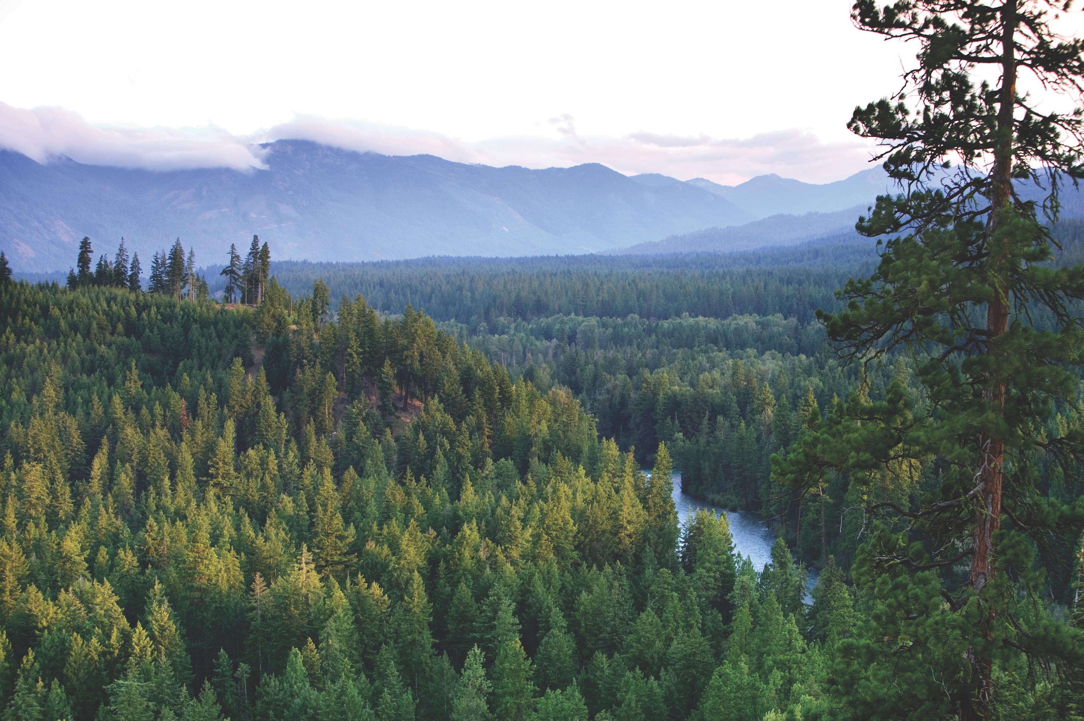 Destination | Suncadia Resort, a Destination by Hyatt Residence