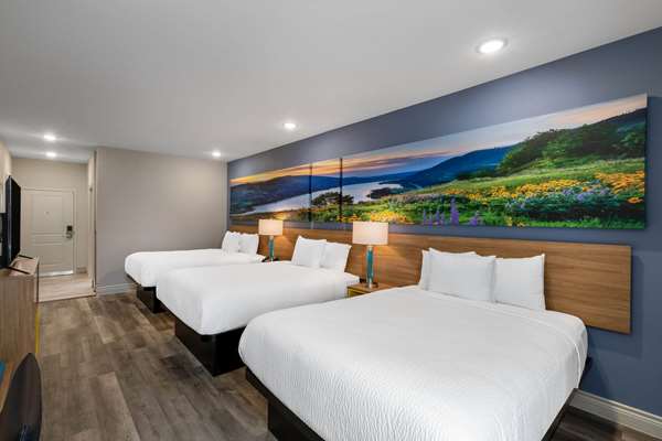 Suite - Days Inn University Houston