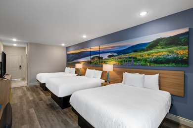 Guest Room,Suite,On-Site