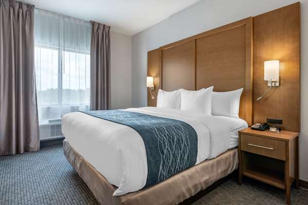 Suite - Comfort Suites Stuart