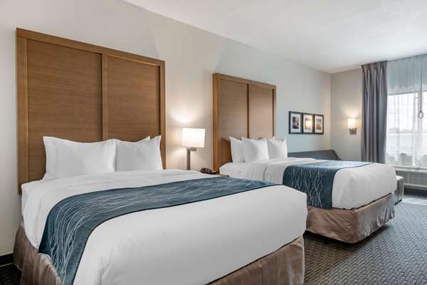 Suite - Comfort Suites Stuart