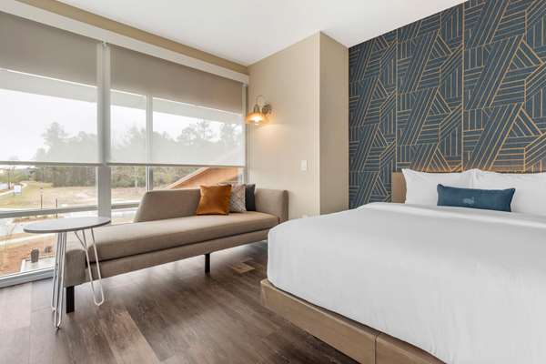  - Cambria Hotel Summerville - I-26, Exit 199