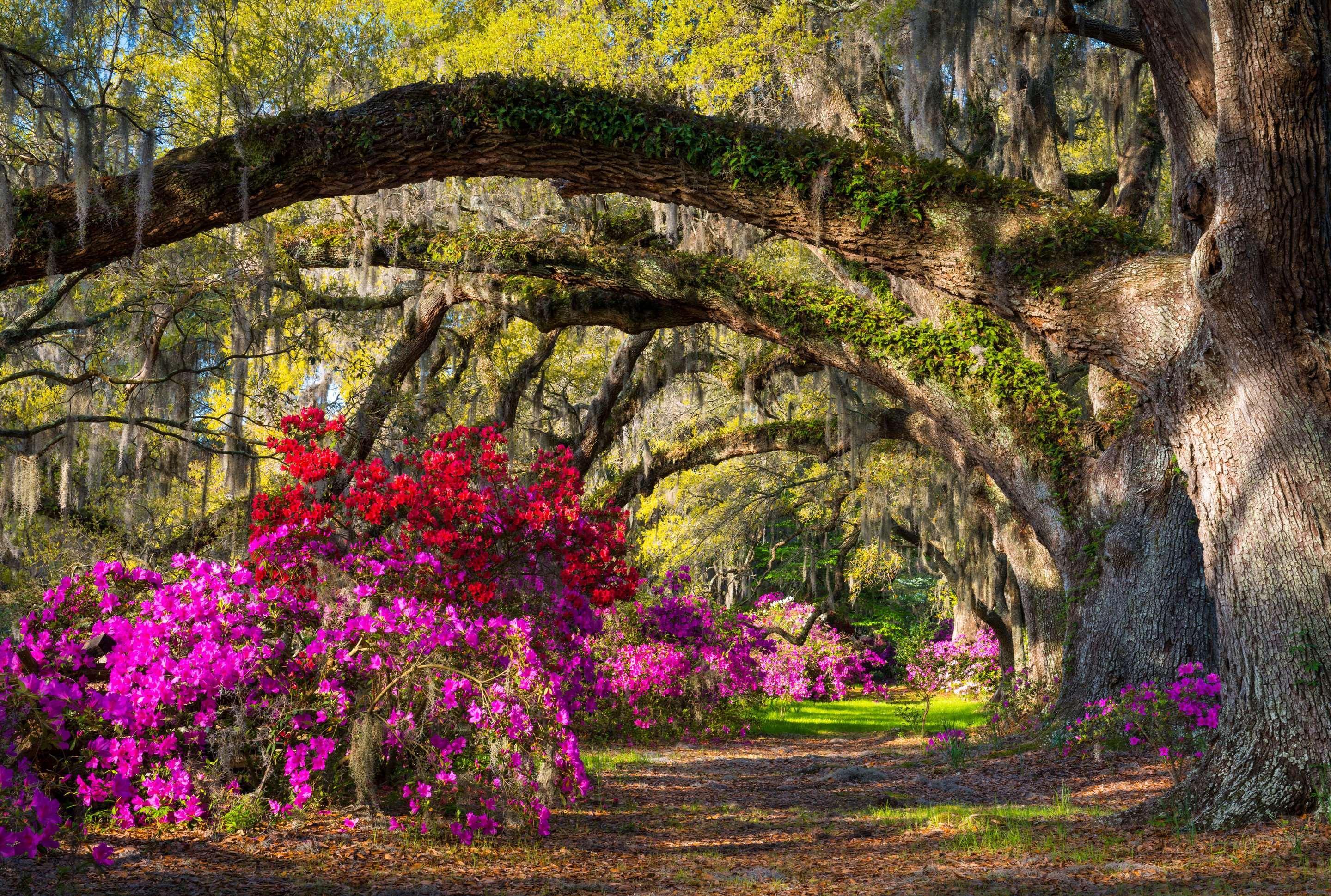 Picturesque Azalea Park | DoubleTree by Hilton Summerville Nexton