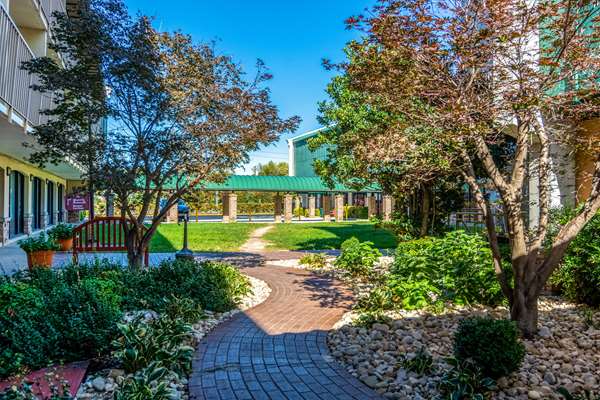 Pool - Rodeway Inn Central Richmond - I-64 & I-95, Exit 78