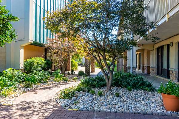 Pool - Rodeway Inn Central Richmond - I-64 & I-95, Exit 78