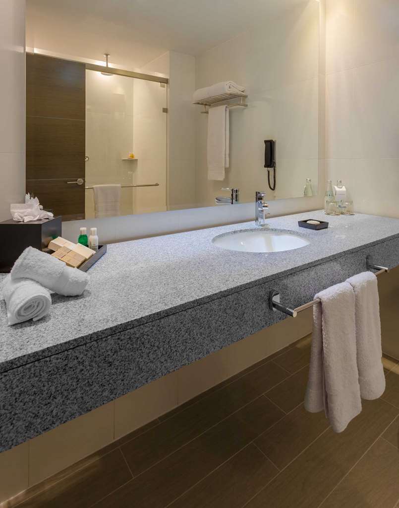 Sonesta Hotel Arequipa-guestroom-Guest Room,Bathroom,On-Site.jpg