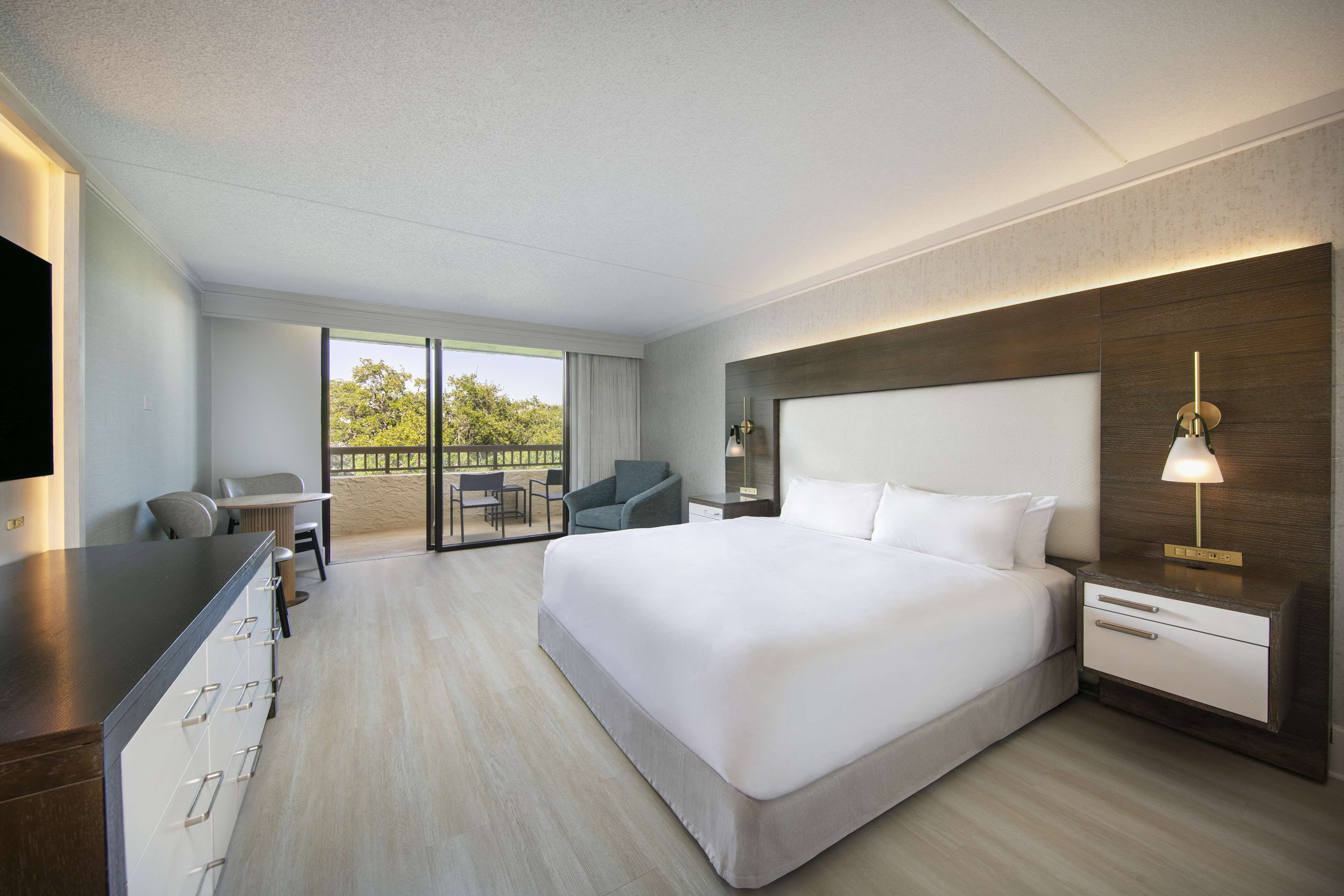 Deluxe - Mobility Accessible - Tub image