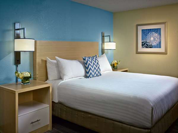 Suite - Sonesta ES Suites Blue Ash - I-275, Exit 47