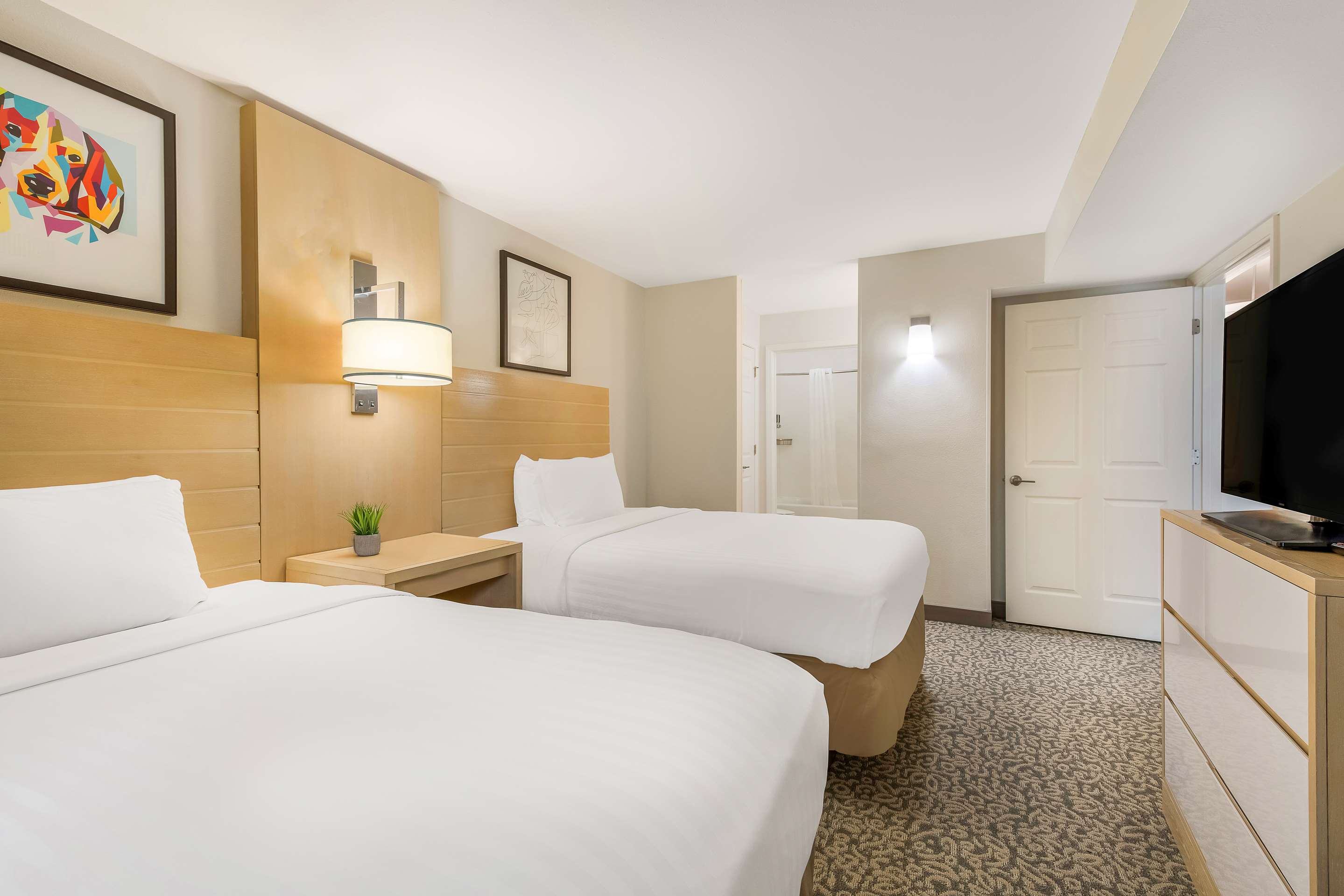 Guest Room - One Bedroom Suite 2 Queens Bedroom | Sonesta ES Suites Charlotte Arrowood