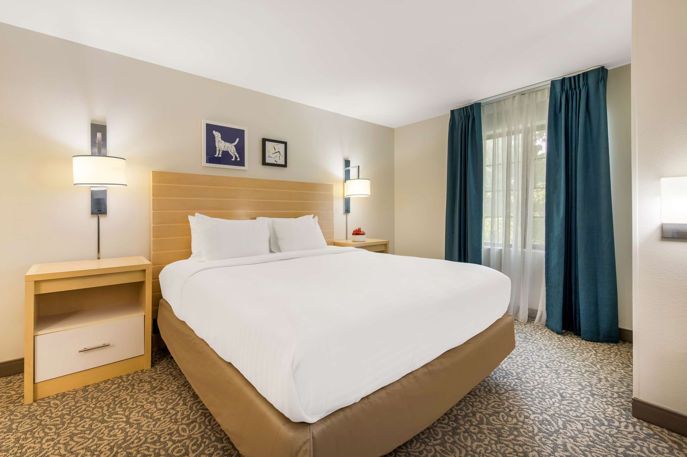 Guest Room - ADA Studio Suite Bedroom | Sonesta ES Suites Charlotte Arrowood