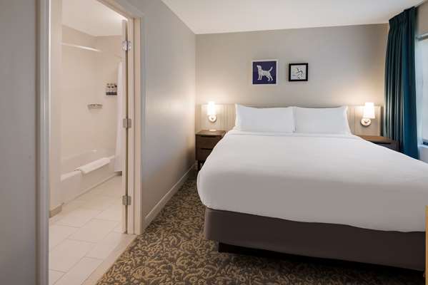 Suite - Sonesta ES Suites Andover