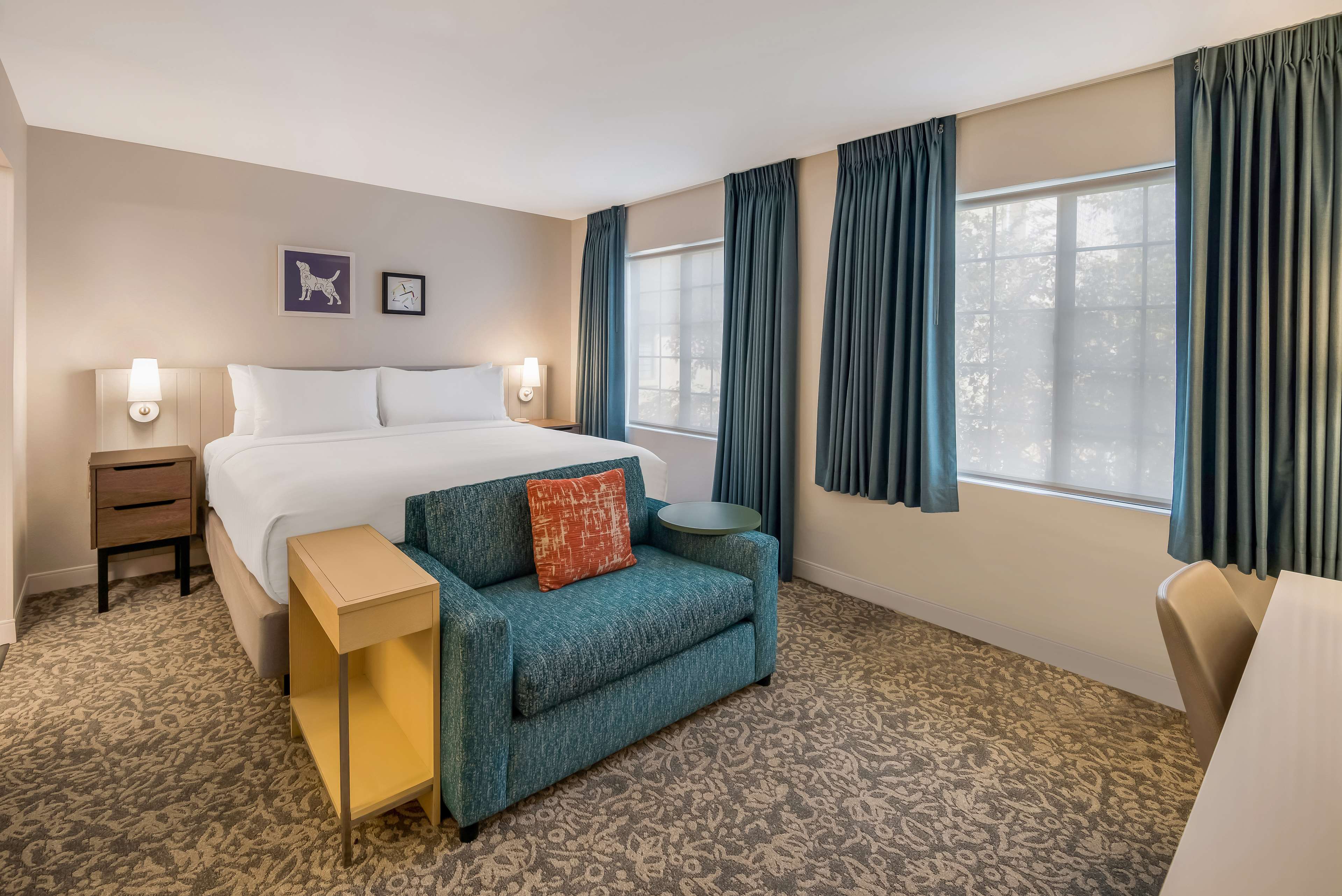 Studio Suite - King image