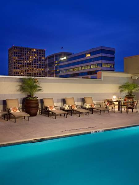 Pool - Royal Sonesta Hotel Houston