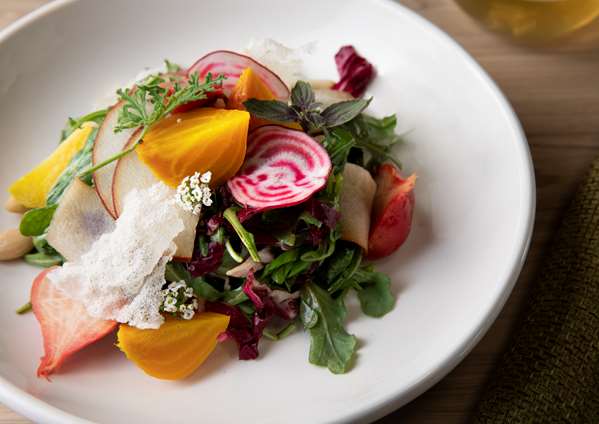 Restaurant - Sonesta Silicon Valley Hotel Milpitas - I-880, Exit 7